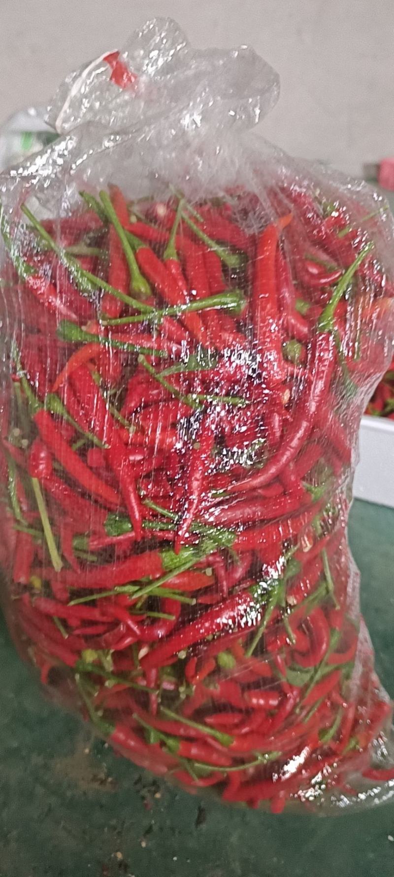 精品小米椒红辣椒现摘现发量大从优无虫眼无农药干净