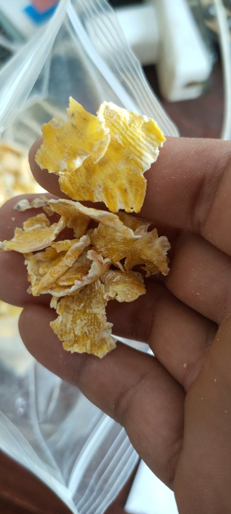 供应东北玉米压片优质玉米压片蒸汽玉米压片