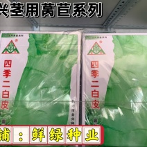 全兴莴苣系列：口感脆嫩汁味佳，净菜率高商品性优越，易种植