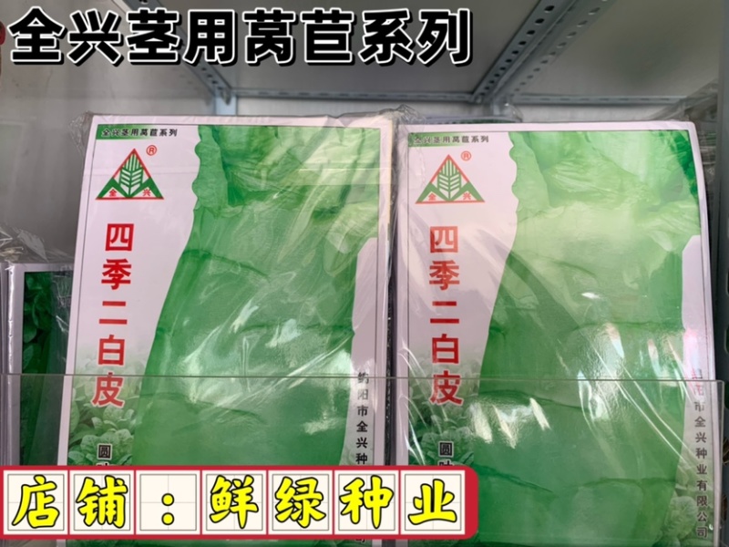 全兴莴苣系列：口感脆嫩汁味佳，净菜率高商品性优越，易种植