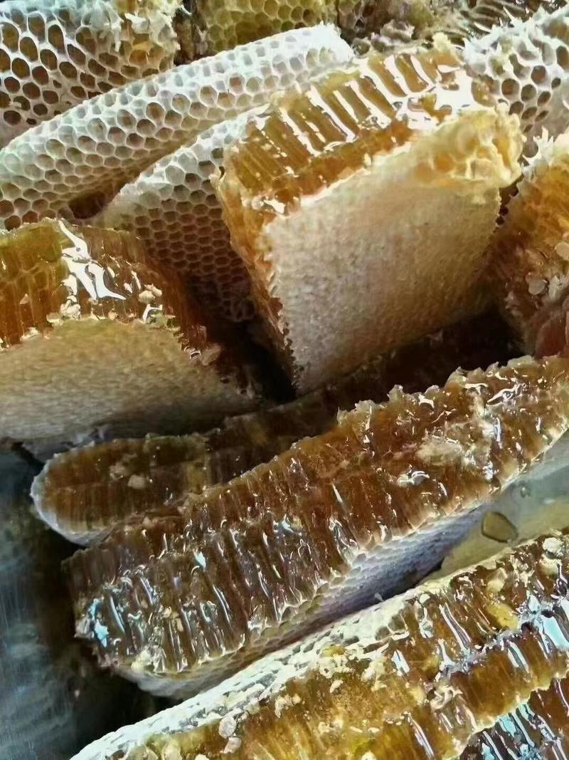 蜂巢蜜蜂蜜结晶蜂蜜岩蜂蜜地摊展会一手货源