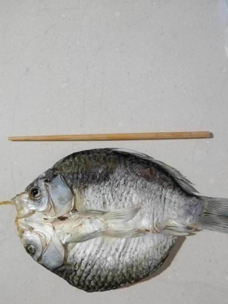 风干鲫鱼，