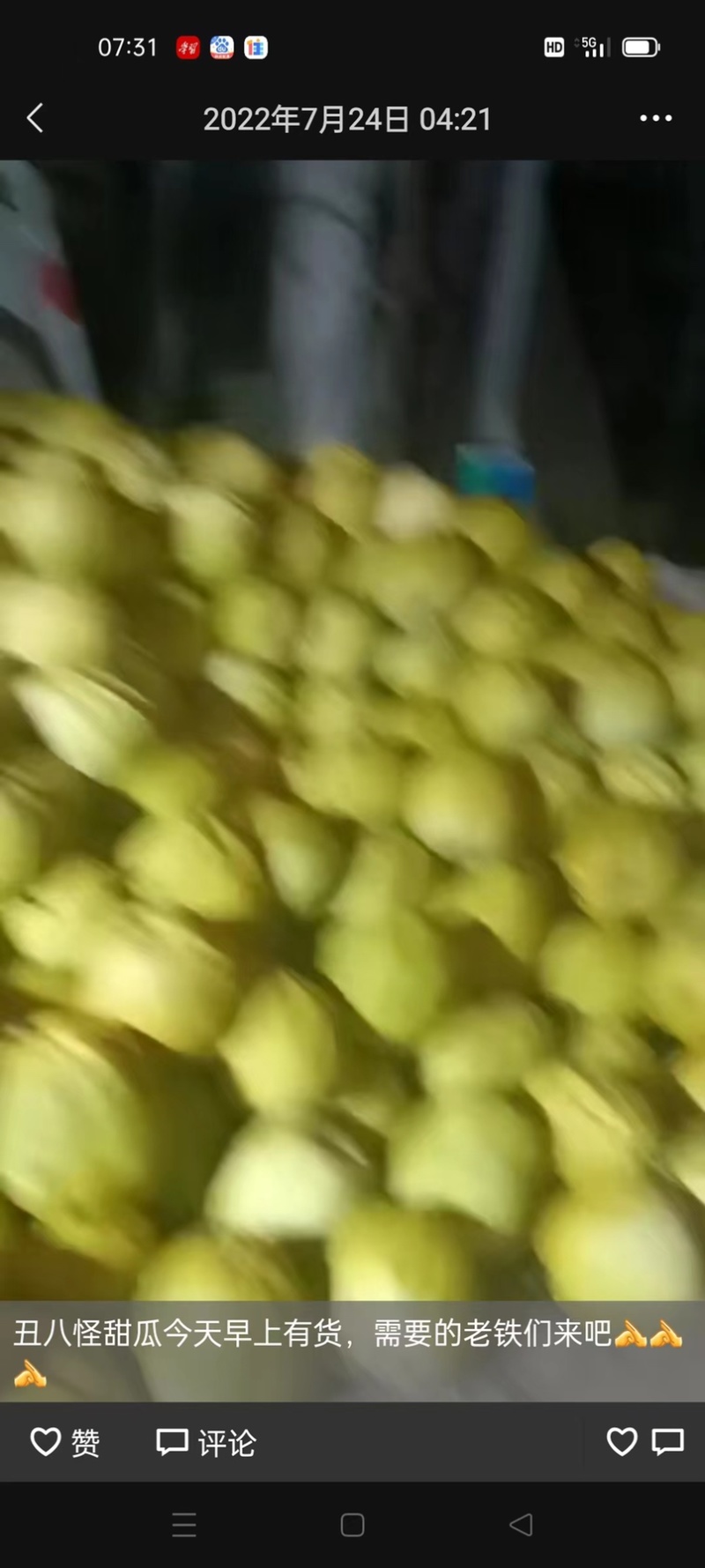 大量丑八怪瓜现摘现卖量大从优欢迎大家前来咨询