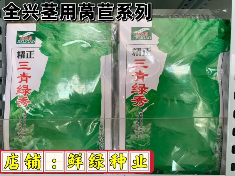 全兴茎用莴苣精正系列：净菜率高，风味佳，商品性好