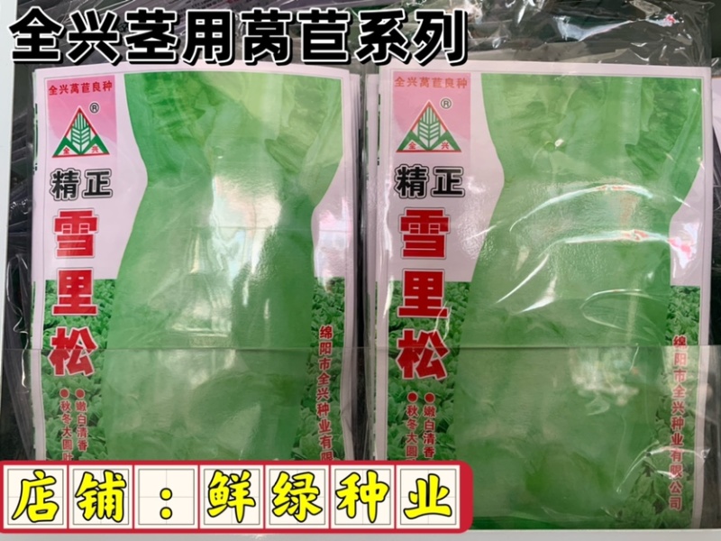 全兴茎用莴苣精正系列：净菜率高，风味佳，商品性好