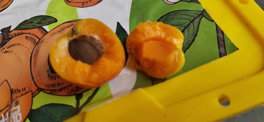 橙子白色的丝特写