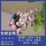 蓝莓苗蓝莓杯苗小苗,奥尼尔薄雾绿宝石兔眼南方均可种植
