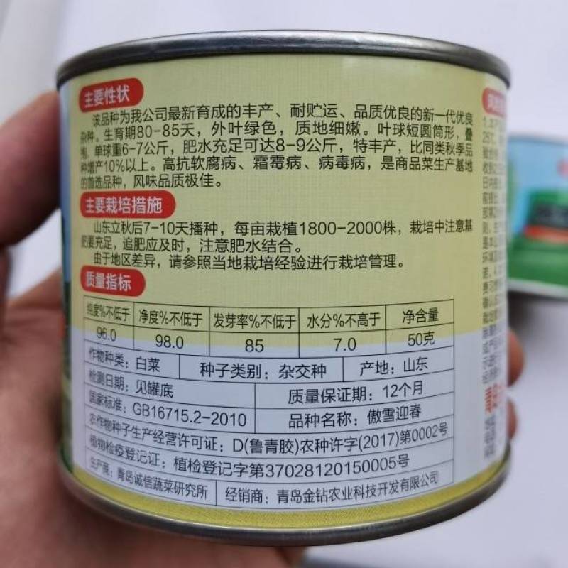 傲雪迎春大白菜种子85天特耐寒抗病高产山东大白菜种子冬储