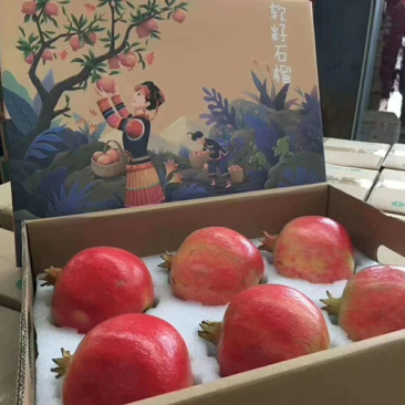 会理突尼斯软籽石榴