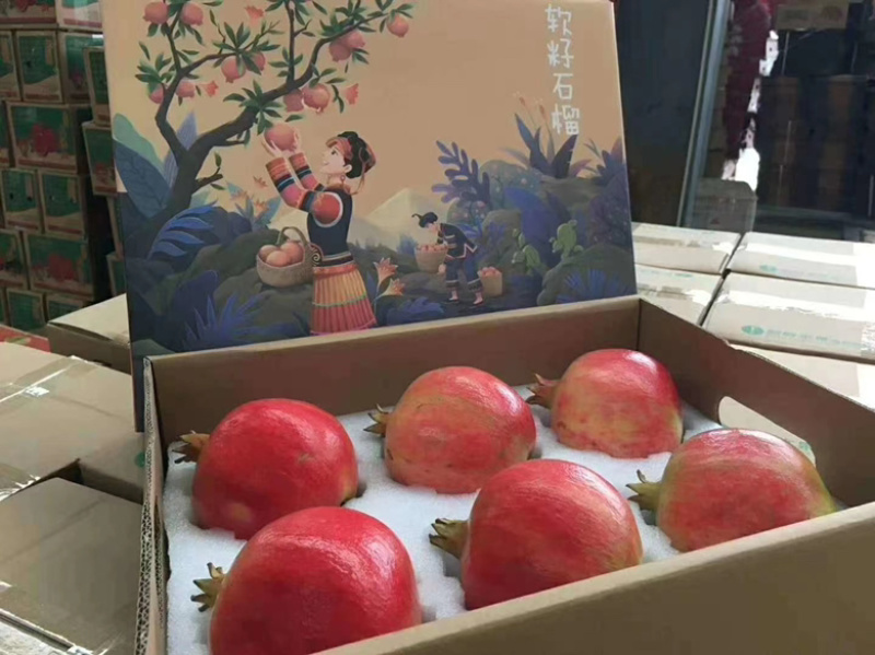 会理突尼斯软籽石榴