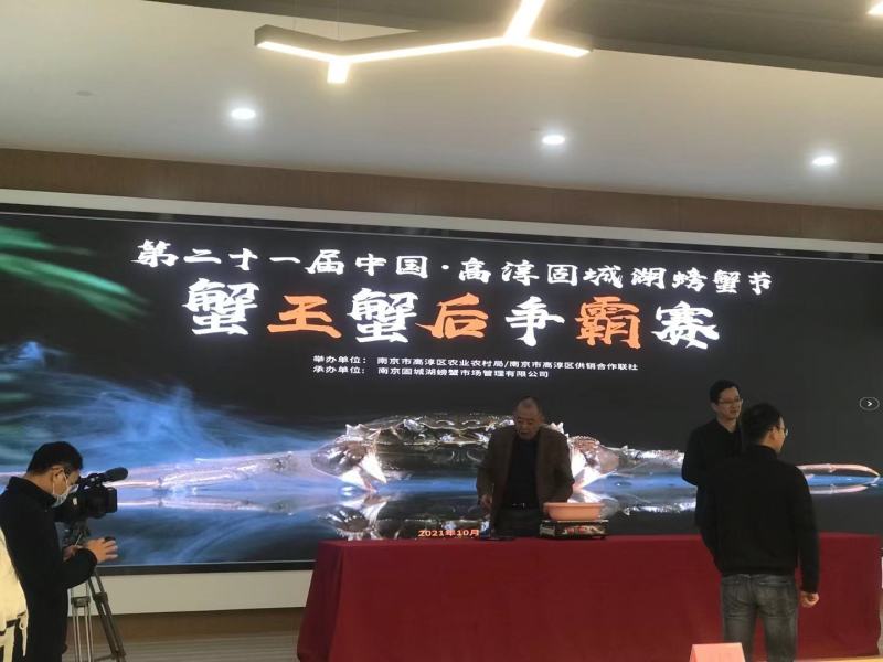 江苏高淳固城湖核心产区精养塘口六月黄大闸蟹【全国发货】