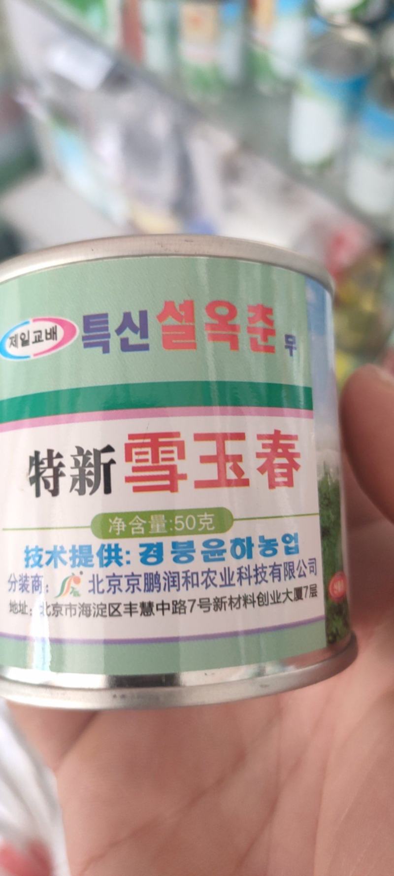 韩国萝卜种子长白萝卜种子韩玉春萝卜种子不易青头条形好