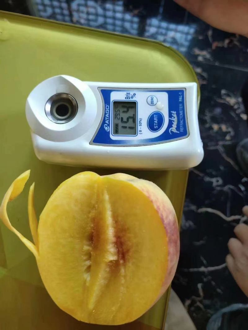 贵州黄桃