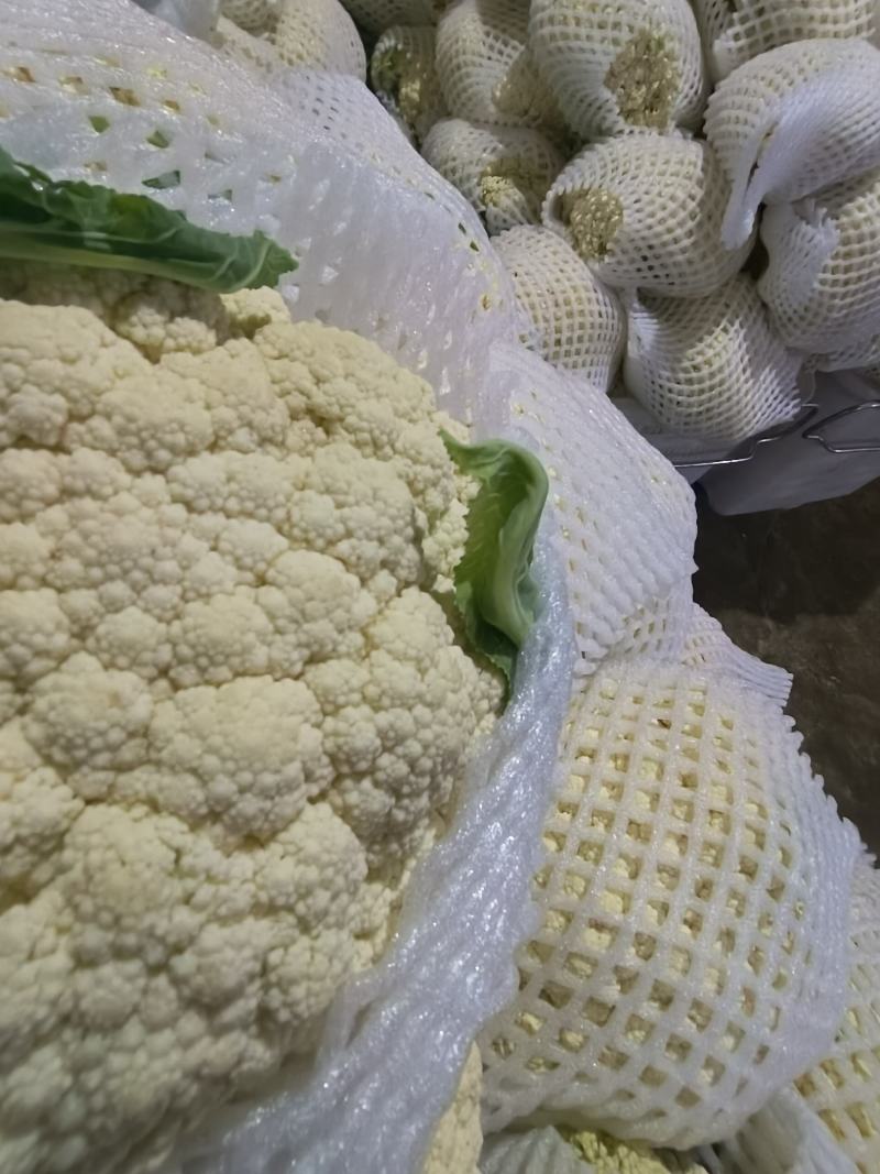 甘肃兰州水果玉米