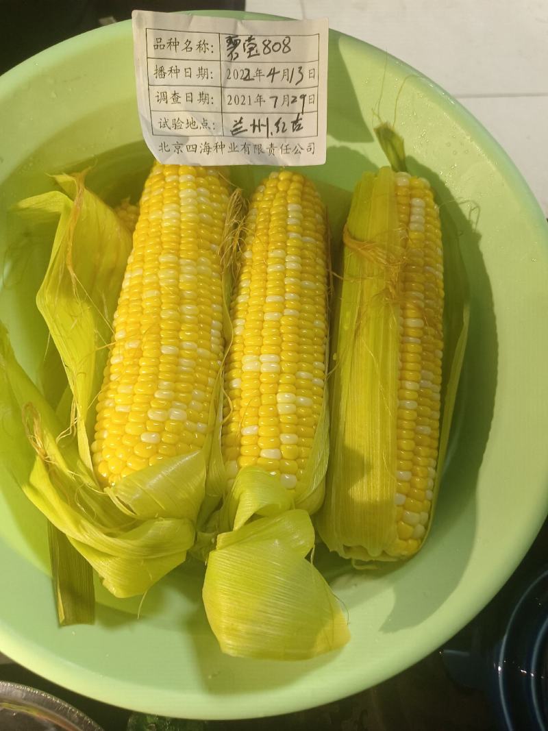 甘肃兰州水果玉米