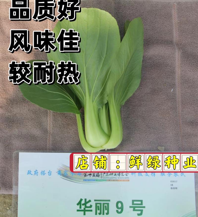 华丽9号青梗菜：株型直立优美、品质好风味佳，较耐热
