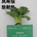 华丽9号青梗菜：株型直立优美、品质好风味佳，较耐热