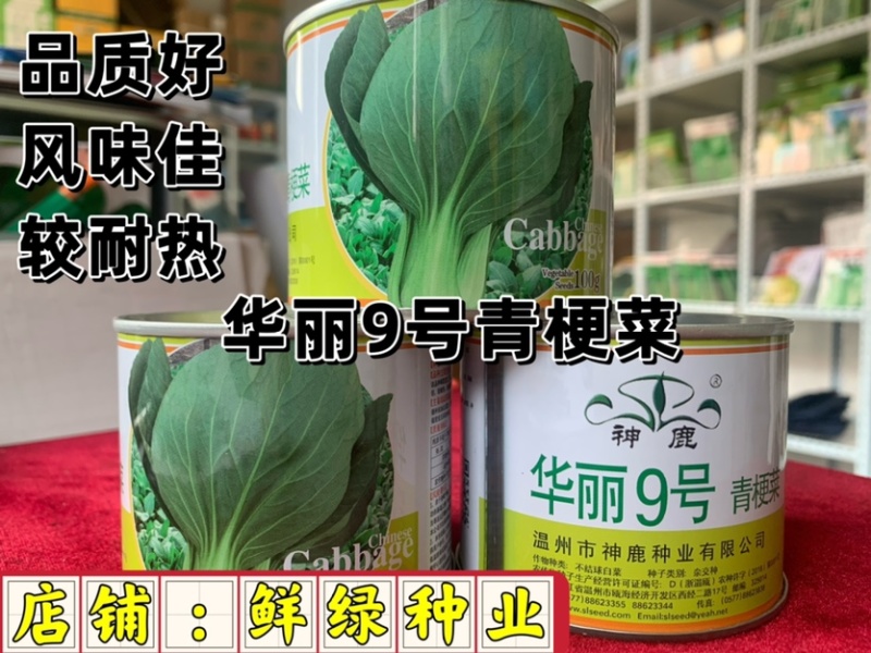 华丽9号青梗菜：株型直立优美、品质好风味佳，较耐热