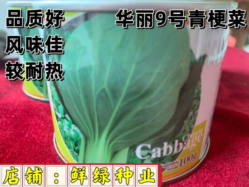 华丽9号青梗菜：株型直立优美、品质好风味佳，较耐热