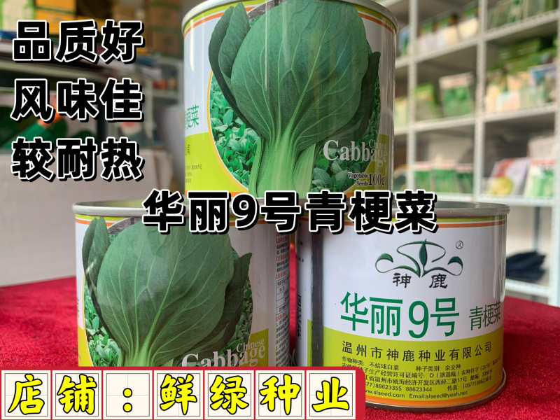 华丽9号青梗菜：株型直立优美、品质好风味佳，较耐热