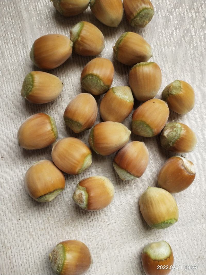 玉坠，110大量出售