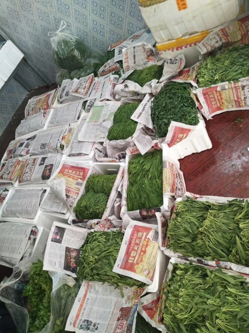 面条菜，基地直供，常年批发价，货发全国菇扎头