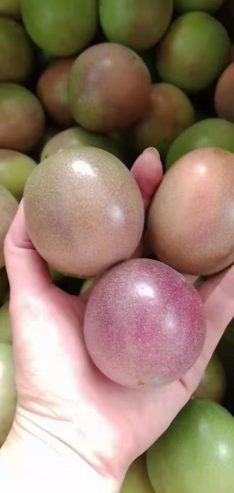 云南高原百香果
