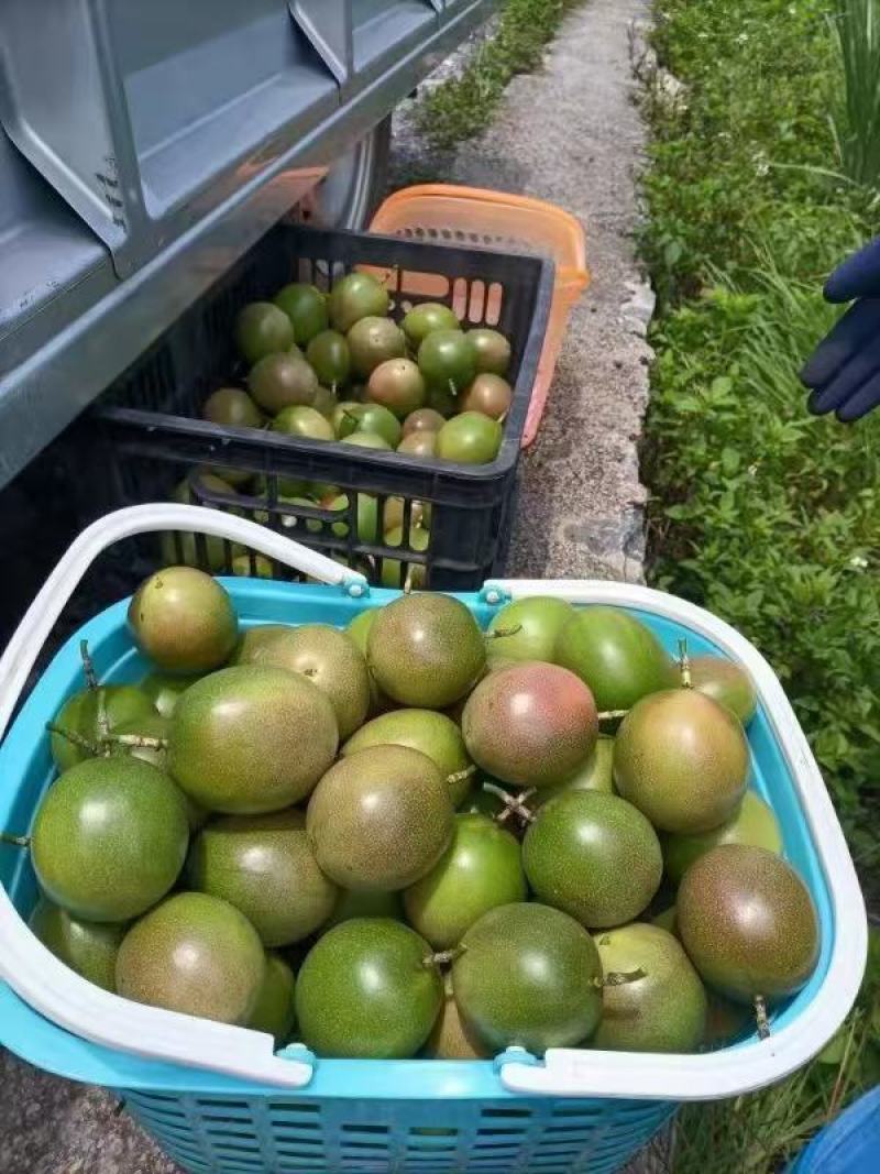 云南高原百香果