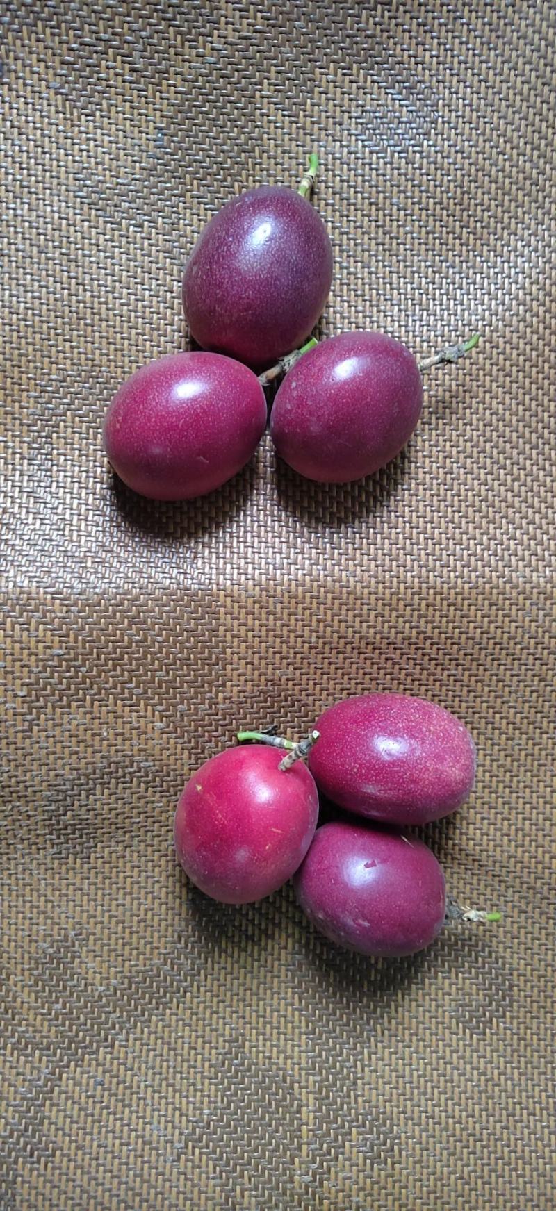 云南高原百香果