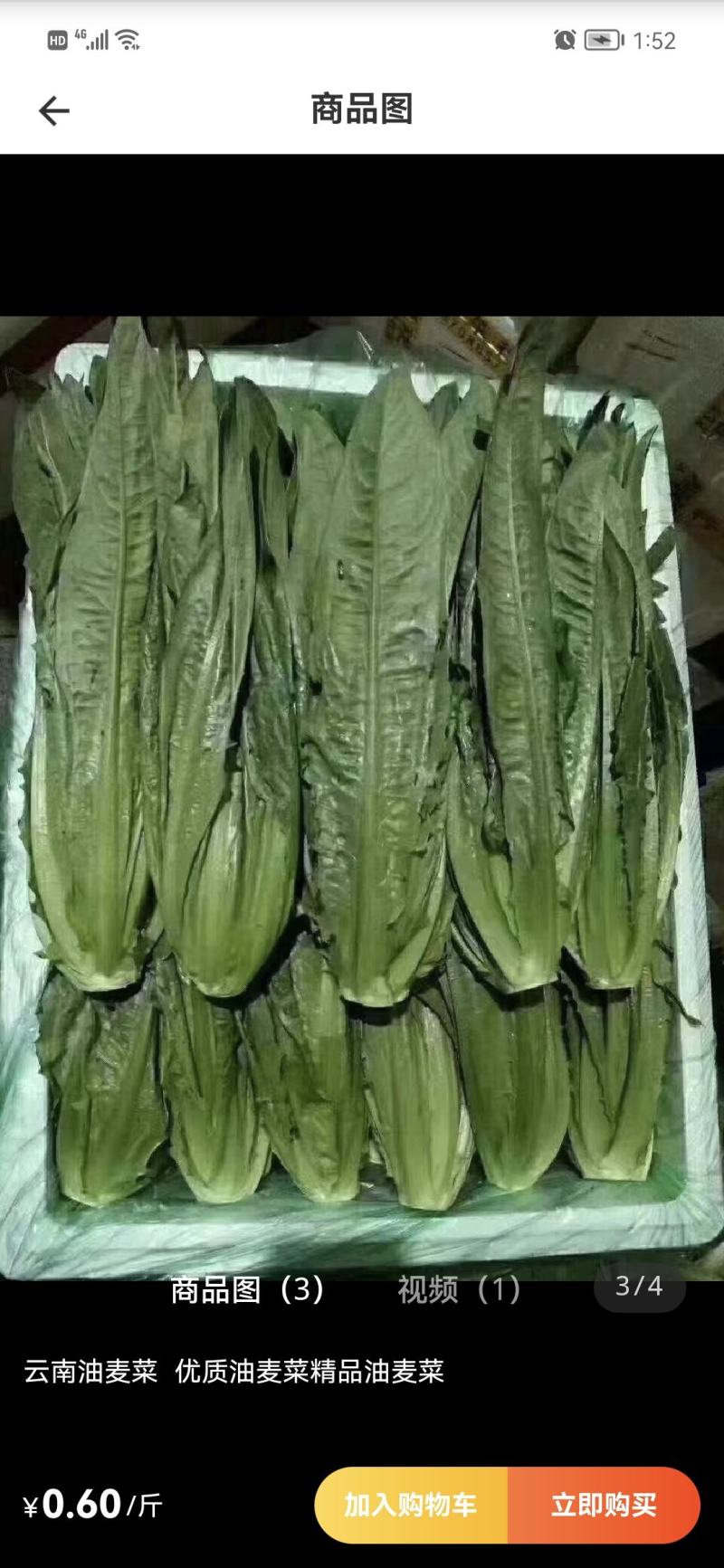 专业代办，品种齐