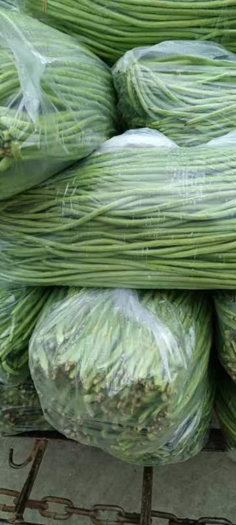 专业代办，品种齐