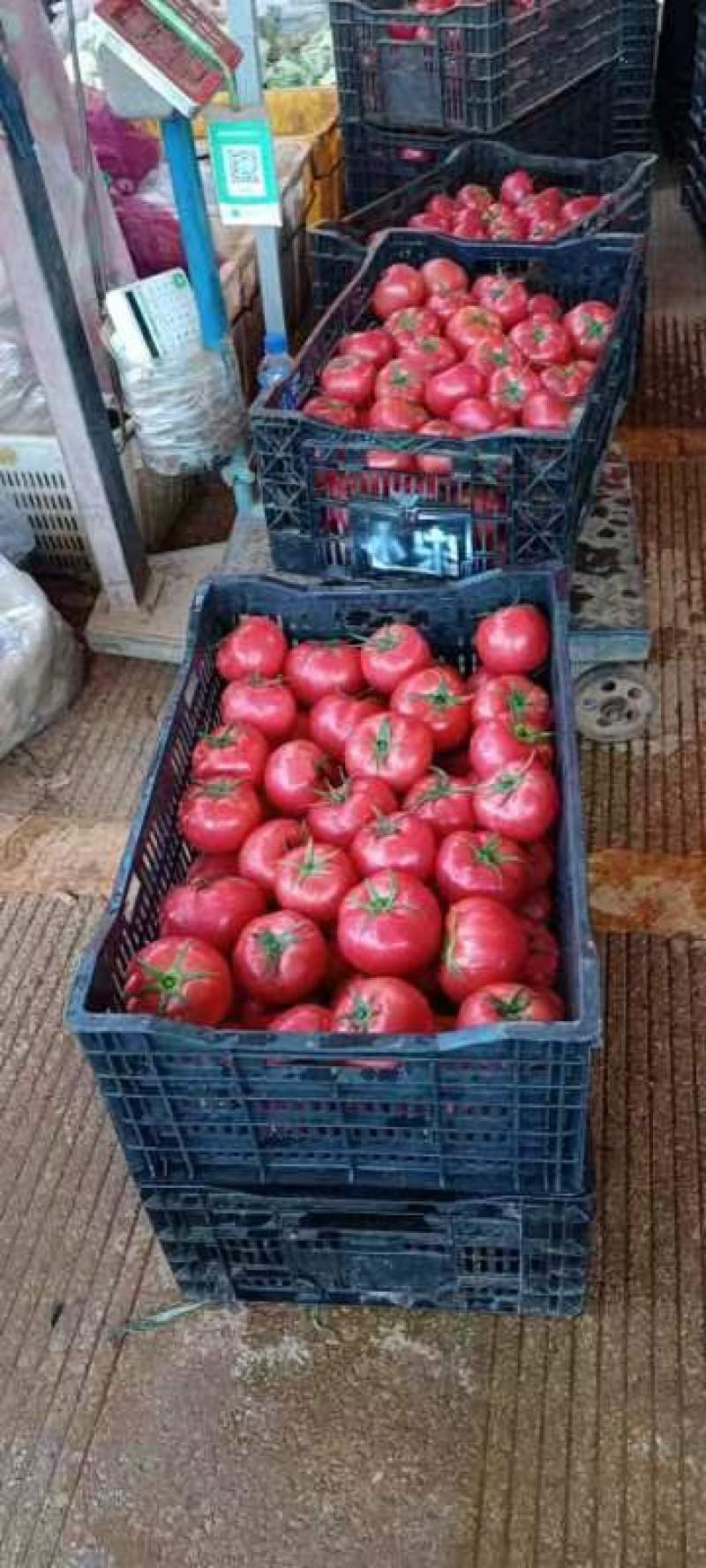 专业代办，品种齐