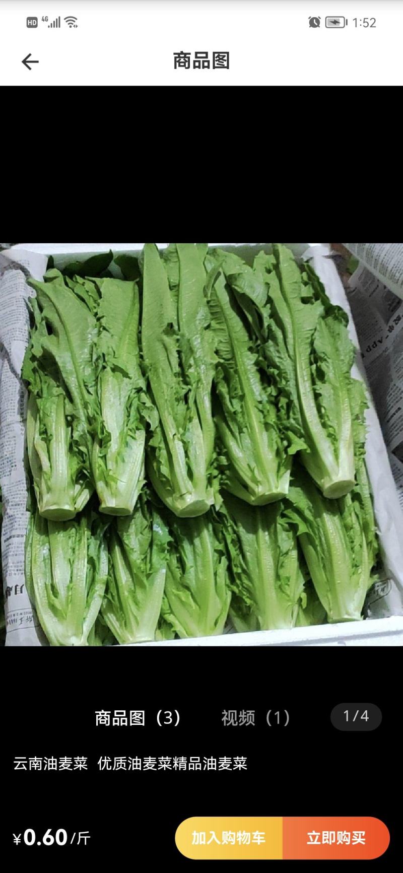专业代办，品种齐