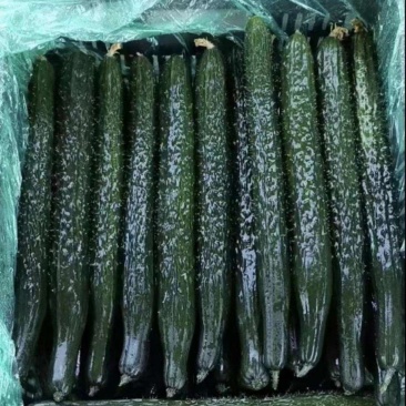 专业代办，品种齐