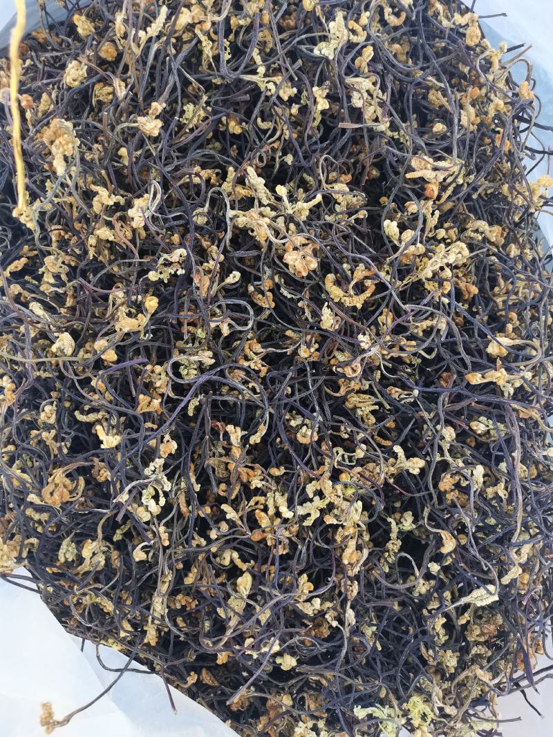 蕨菜干龙爪菜