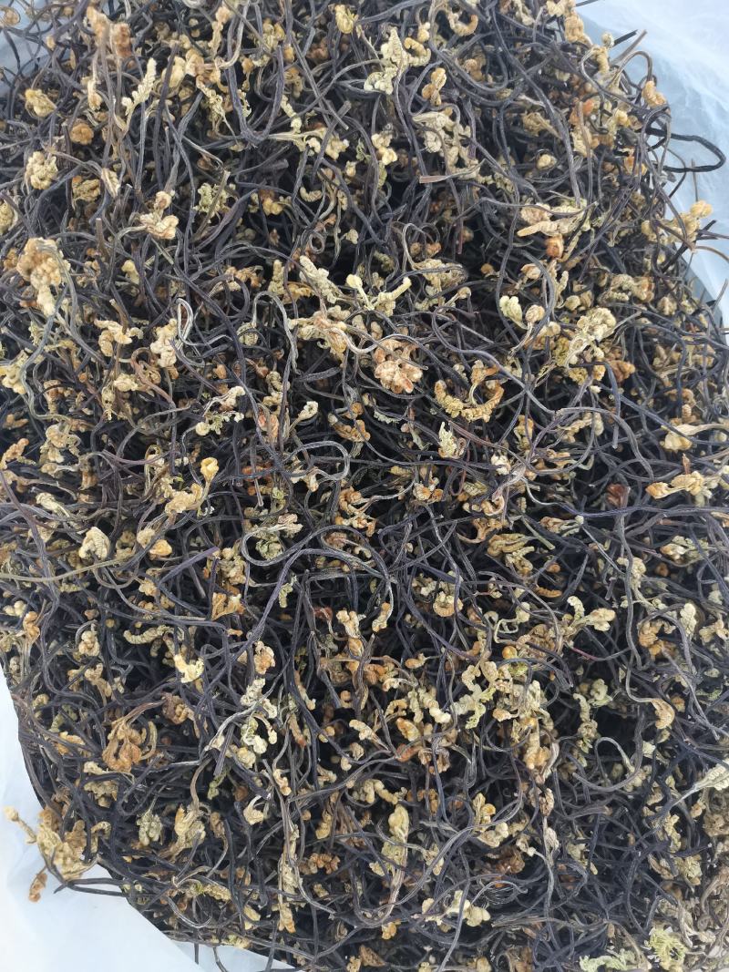 蕨菜干龙爪菜