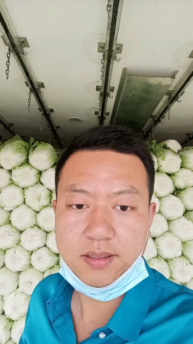 【精品】优选黄心大白菜大白菜基地直供品质保证全国发货