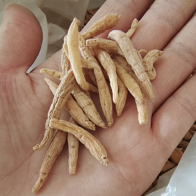 太子参太子参中条新货颜色好足干重在品质产地贵州