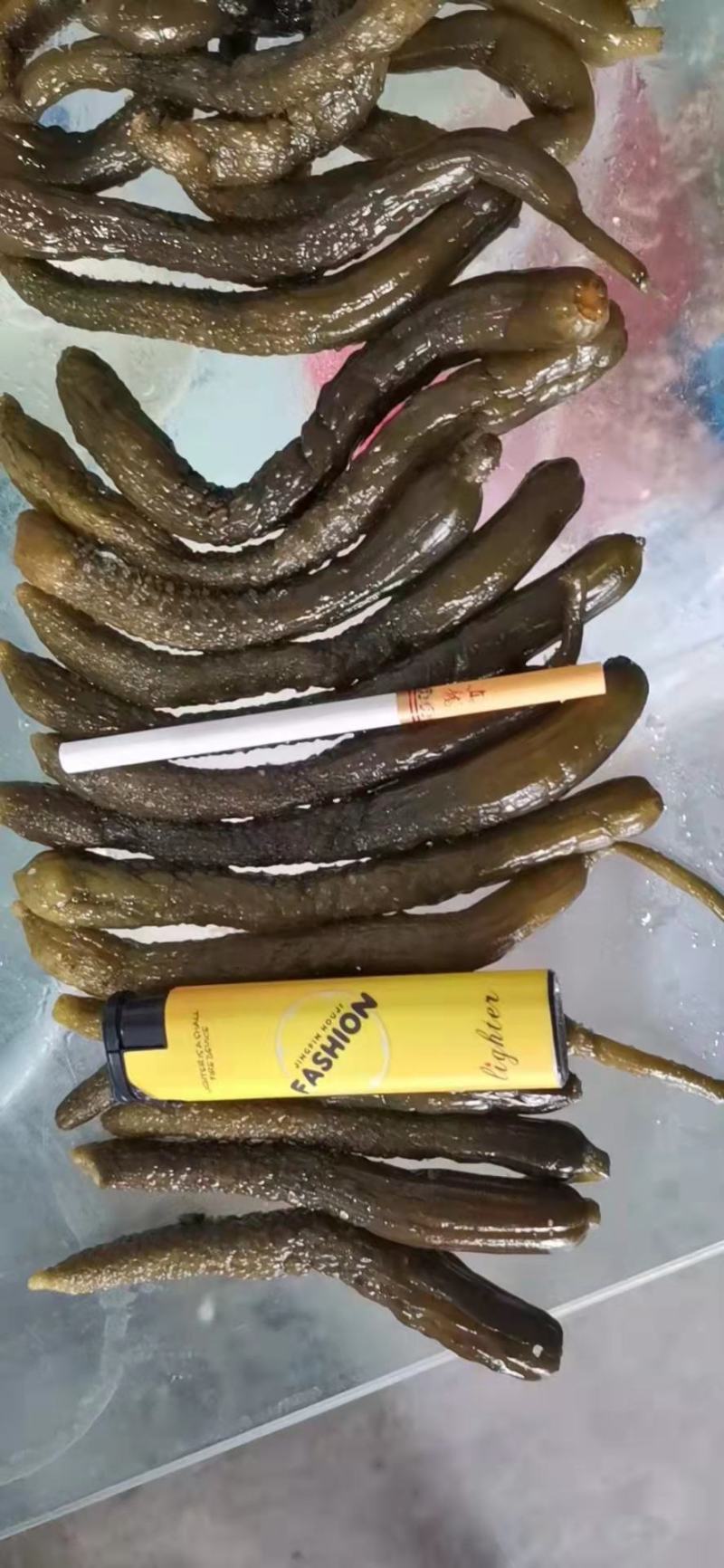 半成品黄瓜，小瓜，中瓜大瓜，发酵黄瓜，腌制半成品