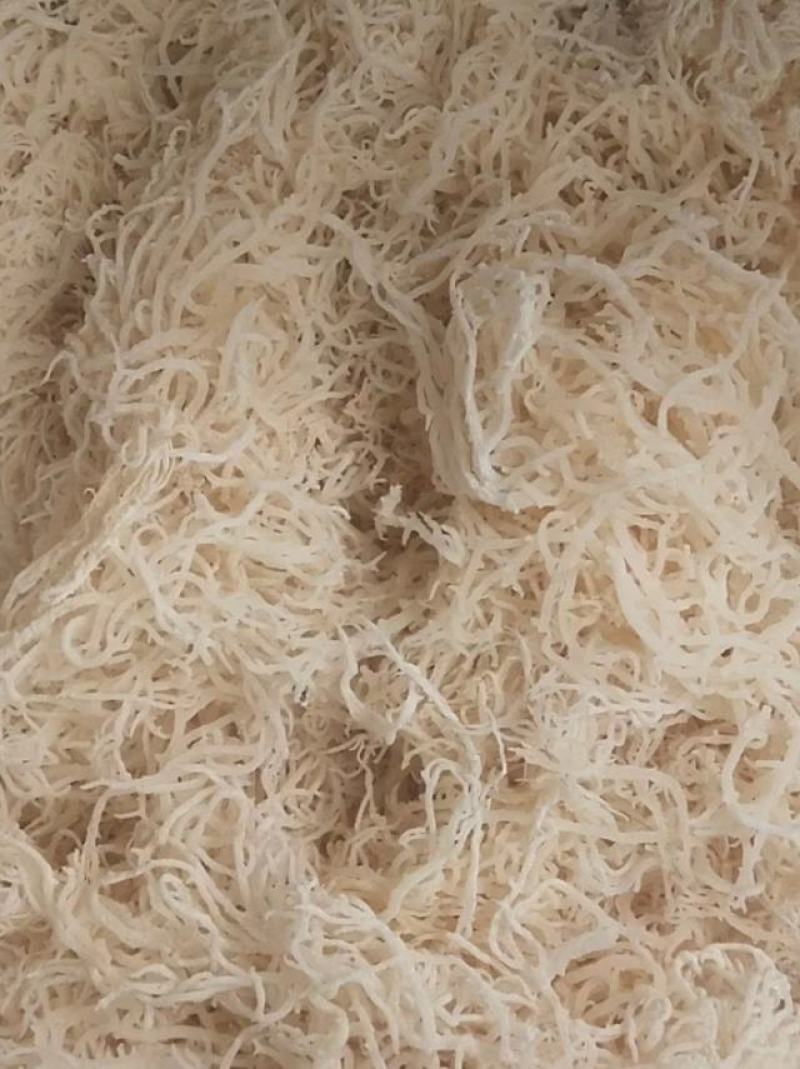 龙须菜，基地发货，质量保证，全国发货，欢迎批发商超联系