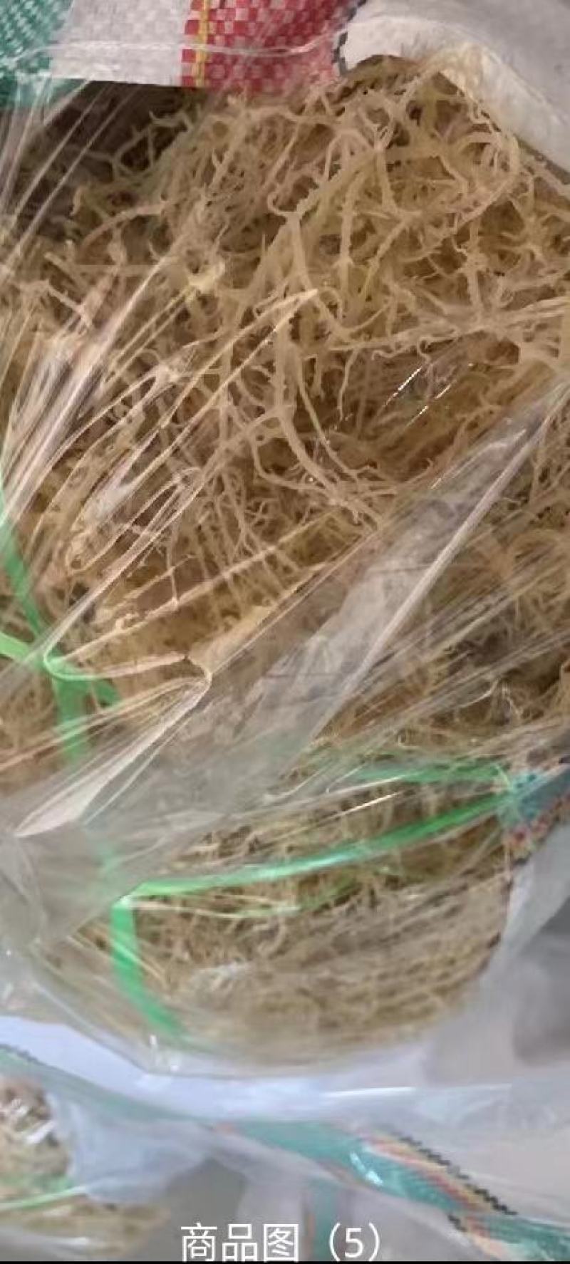 龙须菜，基地发货，质量保证，全国发货，欢迎批发商超联系