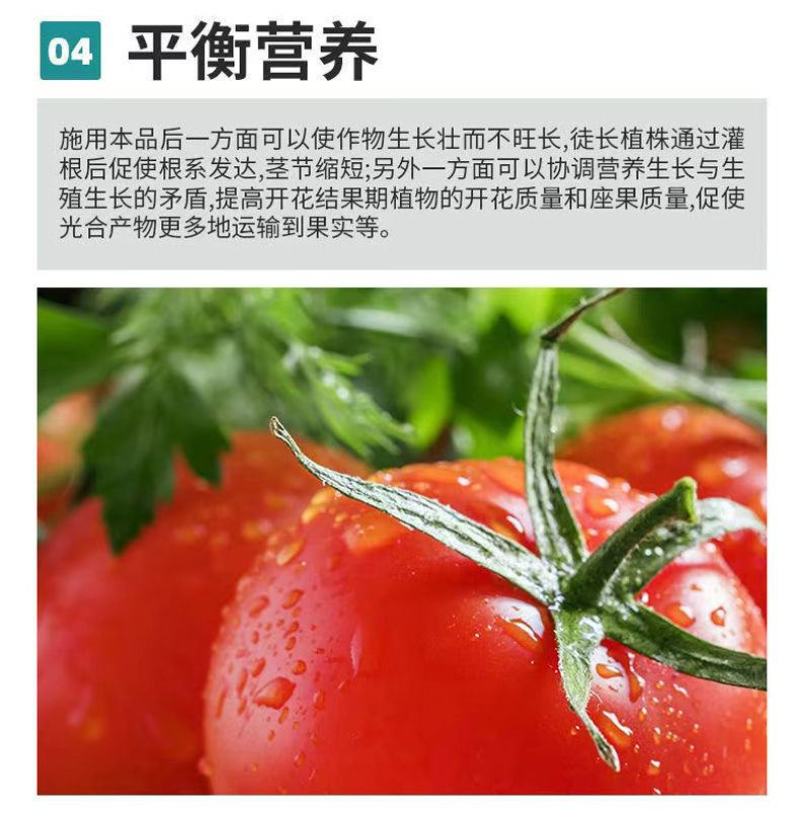 甲壳素黄腐酸钾有机水溶肥料提高品质质增产生根壮苗膨果