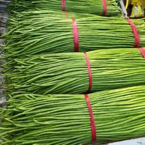 【推荐】精品长豆角，颜色翠绿产地直供全国市场商超量大