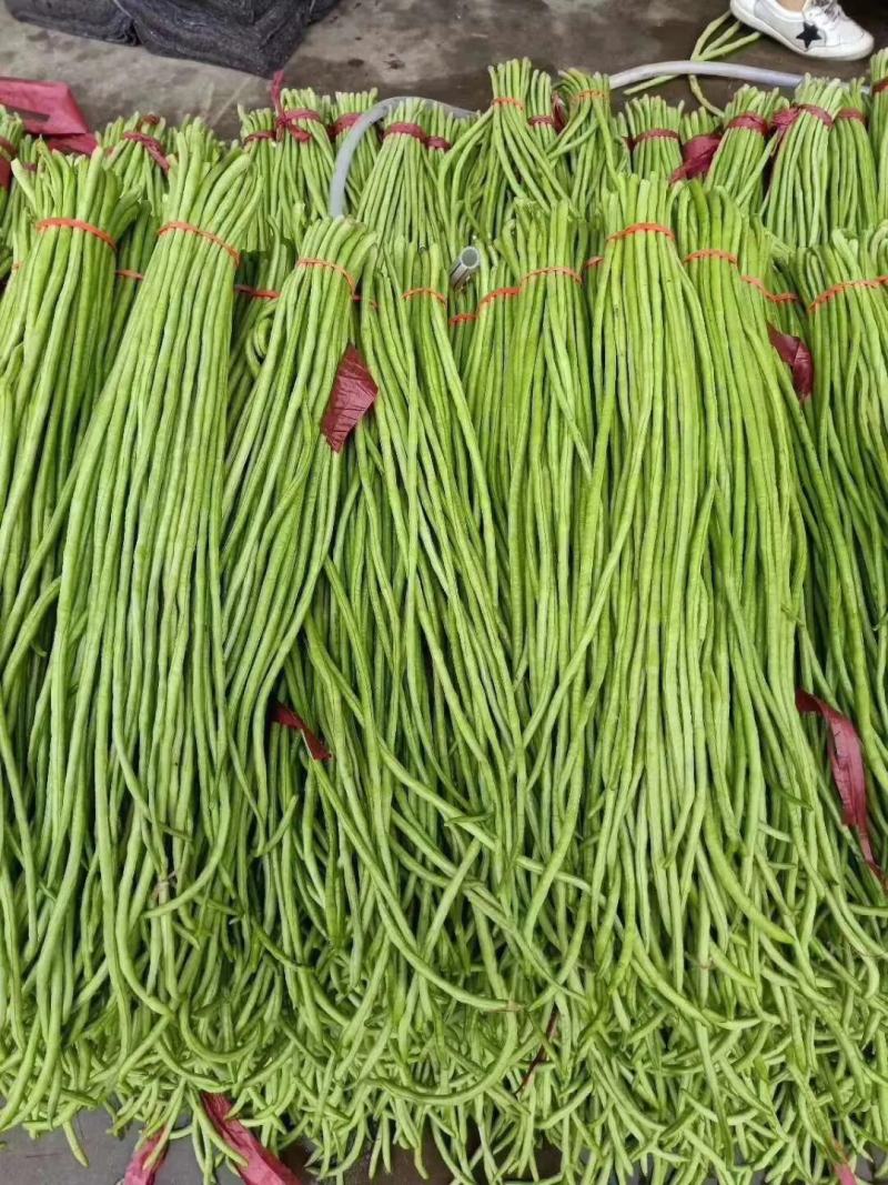 【推荐】精品长豆角，颜色翠绿产地直供代发全国市场商超量大