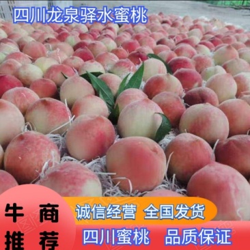 【诚信商家】四川龙泉驿水蜜桃，蜜桃产地直销，诚信经营
