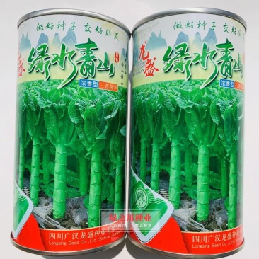 龙盛精品三青香莴笋种子耐寒绿水青山莴笋种子蔬菜基地专用