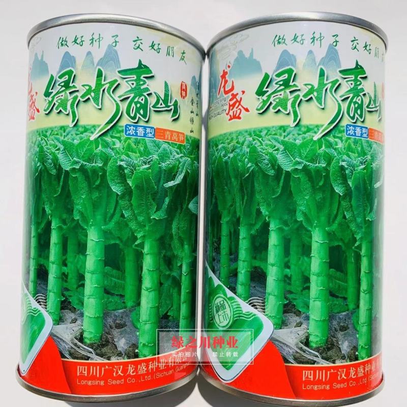 龙盛精品三青香莴笋种子耐寒绿水青山莴笋种子蔬菜基地专用