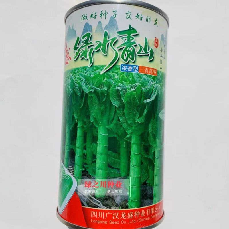 龙盛精品三青香莴笋种子耐寒绿水青山莴笋种子蔬菜基地专用