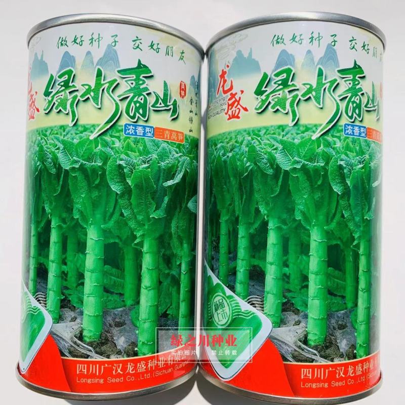 龙盛精品三青香莴笋种子耐寒绿水青山莴笋种子蔬菜基地专用