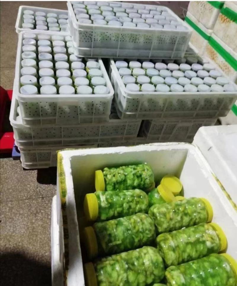 连云港特色美食，灌云豆丹一瓶包邮